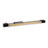 OSPE20-BHD Belt Driven, Square Rail Bearing, Rodless Electric Linear Actuator